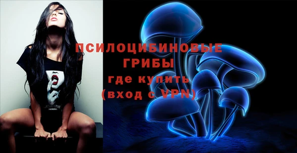 кокаин премиум Богданович